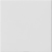 Blindabdeckung o.Tragring rws 810827 