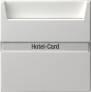 Hotel-Card-Taster rws System55 014027 