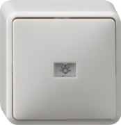 Wechseltaster rws AP 015613 