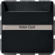 Hotel-Card-Taster Wechsler bel. BSF sw 0140005 