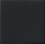 Wippe sw 0296005 
