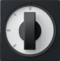 morepic-1