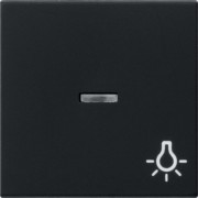 Wippe sw Kontrollf.+Symb. 0674005 