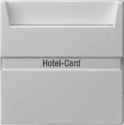 Hotel-Card-Taster Wechsler(bel.) grau 0140015 