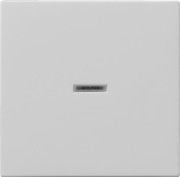 Wippe Kontrollfenster grau 0290015 