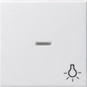 Wippe Licht rws-gl für Taster 067403 
