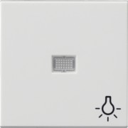 Wippe rws-gl Symbol Licht 063003 