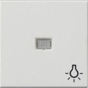 Wippe rws Symbol Licht 063027 