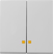 Wippe 2-f. Kontrollfenster grau 0631015 