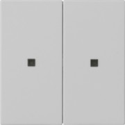 Bedienaufsatz 2-f. grau 5362015 