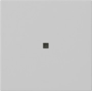 Funk-Bedienaufsatz Grau 5495015 