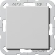Wippschalter BS 20 AX aus 2-p Syst.55 Grau 2836015 