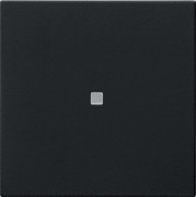 Wippe 1-fach Schwarz 5371005 