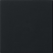 Wippe 1-fach Schwarz 5372005 