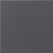 Wippe 1-fach Anthrazit 537228 