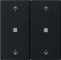 morepic-1