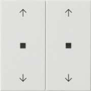 Wippe 2-fach Reinweiß 538603 