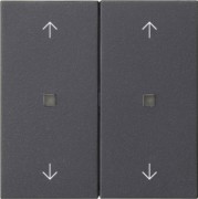 Wippe 2-fach Anthrazit 538628 