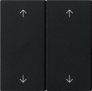 Wippe 2-fach Schwarz 5387005 