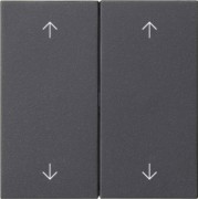 Wippe 2-fach Anthrazit 538728 