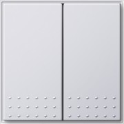 Tast-Serienschalter rws TX44 012566 