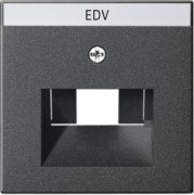 Zentralplatte UAE/IAE anth m.Schriftf.,System55 028428 