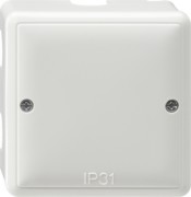 Abzweigdose rws 007003 