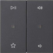 Wippe 2f Audiostrg Anthrazit 538428 