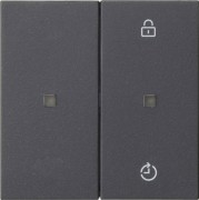 Funk-Bedienaufsatz Memory anthrazit 549328 