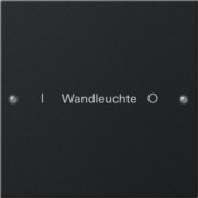 Wippenset 1-fach beschr. System 55 sw 2201005 