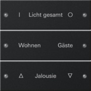 Wippenset 3-fach beschr. System 55 sw 2203005 