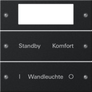 Wippenset 2-fach beschr. Sys 55 sw 2212005 