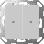 Taster Wippe KNX, 2f, Grau 5173015 