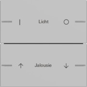 Wippenset 2-fach indiv. Tastsensor Grau 5762015 