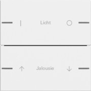 Wippenset 2-fach indiv. Tastsensor Reinweiß 576227 