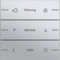 morepic-1