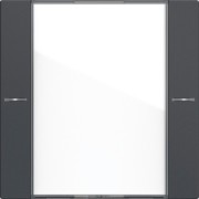 Wippenset 1-fach BSF Tastsensor Anthrazit 577128 