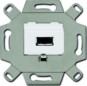 morepic-1