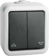 Doppel-Taster 10A 250V gr mit Schraubklemmen D 629 T WAB 
