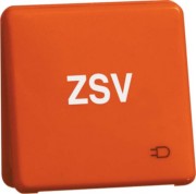 Steckdose D80.6611K ORANGE ZSV 