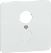 Zentralplatte rws D 80.677.02 DIO 