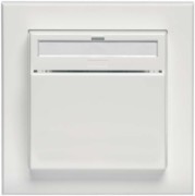 Hotel-Card-Schalter rws AP f.Karten 55x85mm D 20.450.022FU-BLSHC 