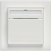 Hotel-Card-Schalter rws AP f.Karten 55x85mm D 20.450.02FU-BLSHC 