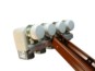morepic-1