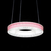 Einlegefolie rose IRIS-O F #SPI0000136 