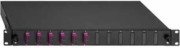 BasicLine Spleissbox 6xSC-D OM4 erika 2280306060 