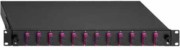 BasicLine Spleissbox 12xSC-D OM4 erika 2280306120 