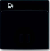 Zentralscheibe anthr f.USB-Ladest-Einsatz 6478-81 