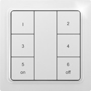 Funk-6-Kanal-Taster F6T55EB-Keypad-am 