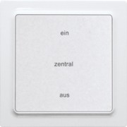 Funk-2-K.-Zentralst.taster reinweiß glänzend F2ZT55E-wg 